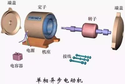 一篇文章,讓您弄清交流伺服電機的構造與工作原理_繞組